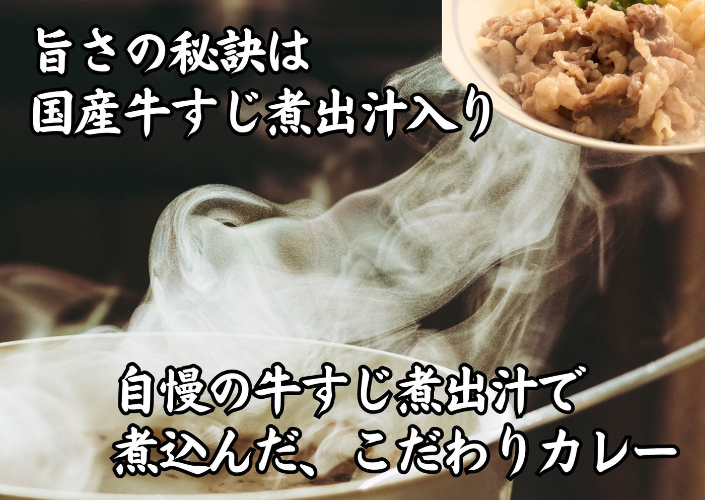 牛すじ煮出汁入り 国産牛すじカレー 220g×2pセット レトルト　国産牛すじ